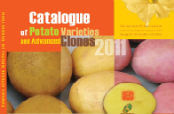 CIP publishes advanced clones and potato varieties in online catalogue