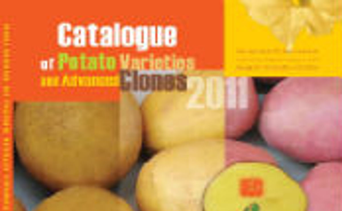 CIP publishes advanced clones and potato varieties in online catalogue