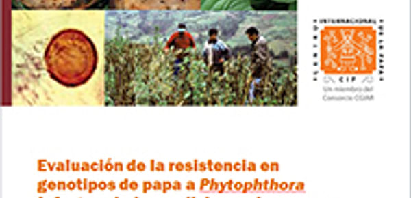Evaluación de la resistencia en genotipos de papa a Phytophthora infestans bajo condiciones de campo [Guía]