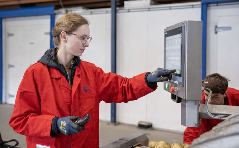 Clara Polzer inspects potatoes on the grading line as part of selection work for new variety development at HZPC Clara Polzer inspects potatoes on the grading line as part of selection work for new variety development at HZPC