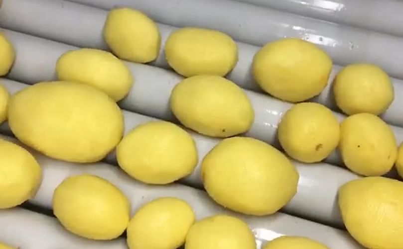 Forsfood Classic 5 peeling line