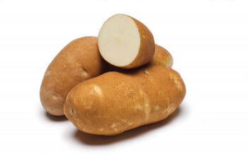 Classic Russet Classic Russet