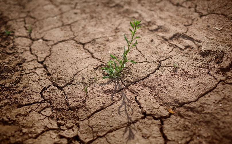 Global Distribution of Arid and Semi-Arid Regions Affecting Agriculture Global Distribution of Arid and Semi-Arid Regions Affecting Agriculture