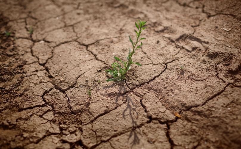 Global Distribution of Arid and Semi-Arid Regions Affecting Agriculture Global Distribution of Arid and Semi-Arid Regions Affecting Agriculture