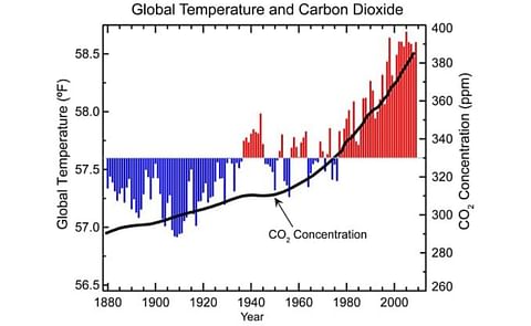 Neiker-Tecnalia is researching the potato genes that best adapt to climate change Neiker-Tecnalia is researching the potato genes that best adapt to climate change