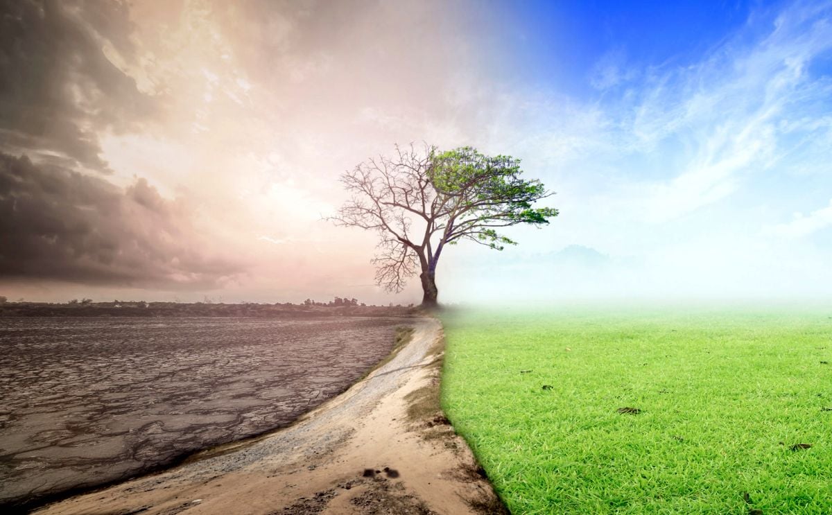 The European Parliament declares climate emergency The European Parliament declares climate emergency