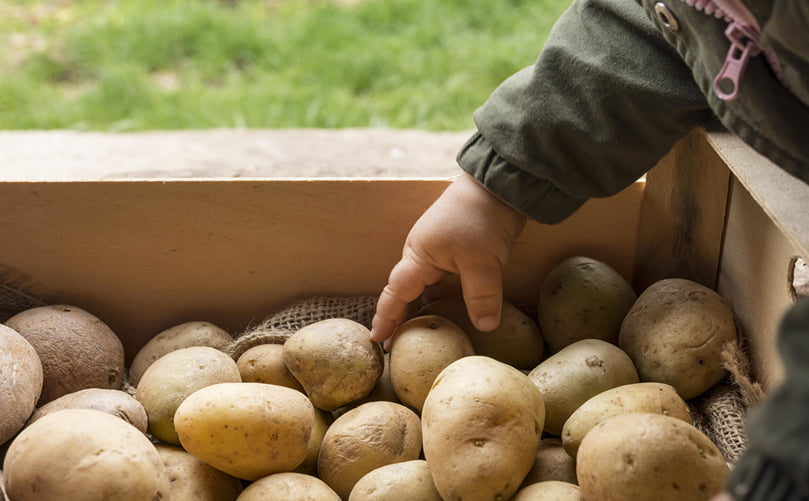 Controlled Storage: From Tuber to Perfect Chip Controlled Storage: From Tuber to Perfect Chip