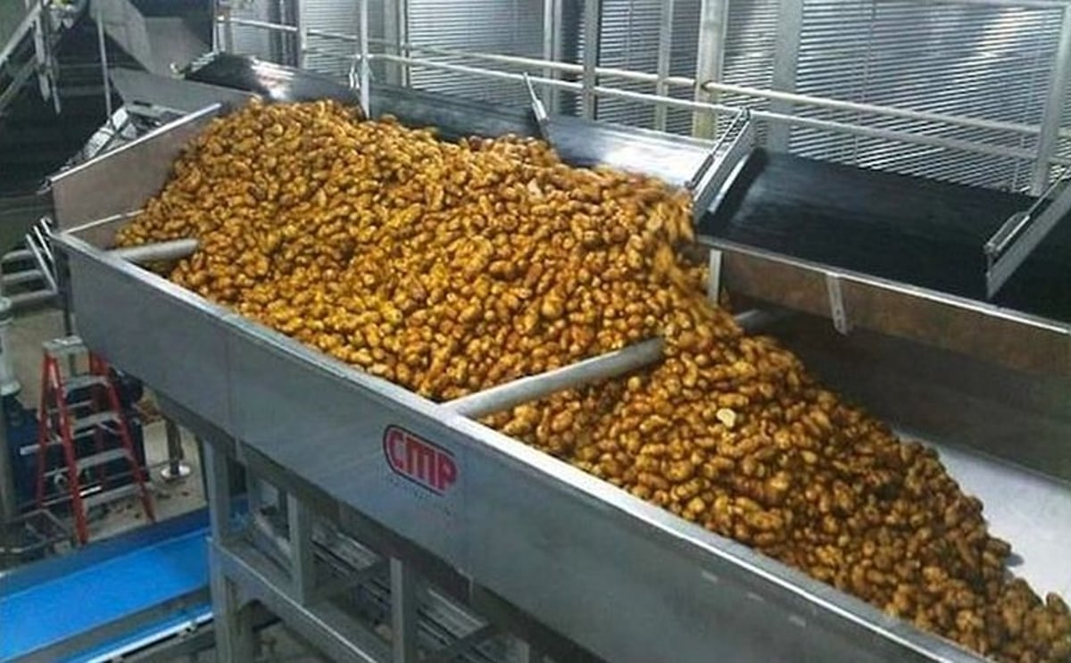New Leadership at Food Processing Equipment Manufacturer Charlottetown Metal Products (CMP) New Leadership at Food Processing Equipment Manufacturer Charlottetown Metal Products (CMP)