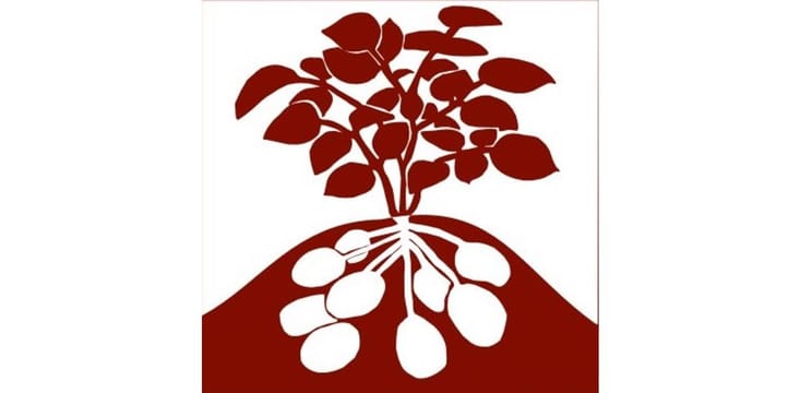 Cobbelsdorf-Fläming-Kartoffel Handels GmbH