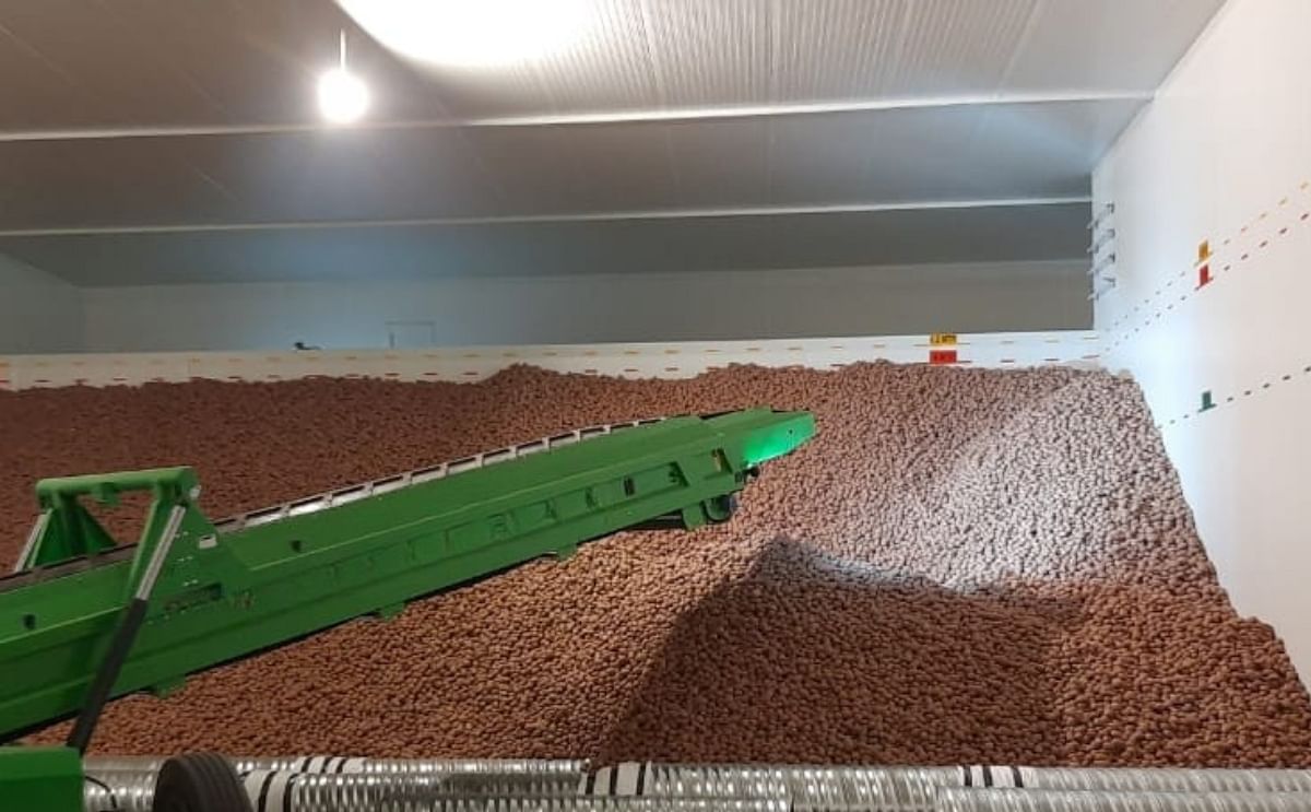 Revolutionizing agricultural storage – NSSPL’s advanced cold storage solutions ensure fresher crops and higher farmer profits Revolutionizing agricultural storage – NSSPL’s advanced cold storage solutions ensure fresher crops and higher farmer profits