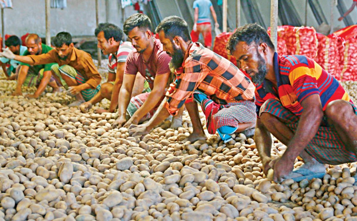 Bangladesh Cold Storage Association (BCSA) Warns of Price Decline and Challenges for Farmers if Potato Imports Continue Bangladesh Cold Storage Association (BCSA)Warns of Price Decline and Challenges for Farmers if Potato Imports Continue