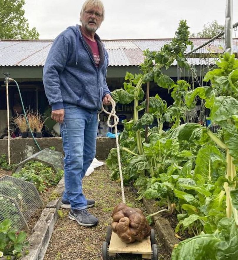 Collin walks the potato around the garden