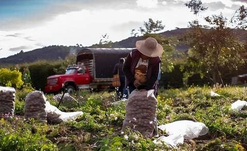 Colombia: profunda crisis para el sector productivo Colombia: profunda crisis para el sector productivo