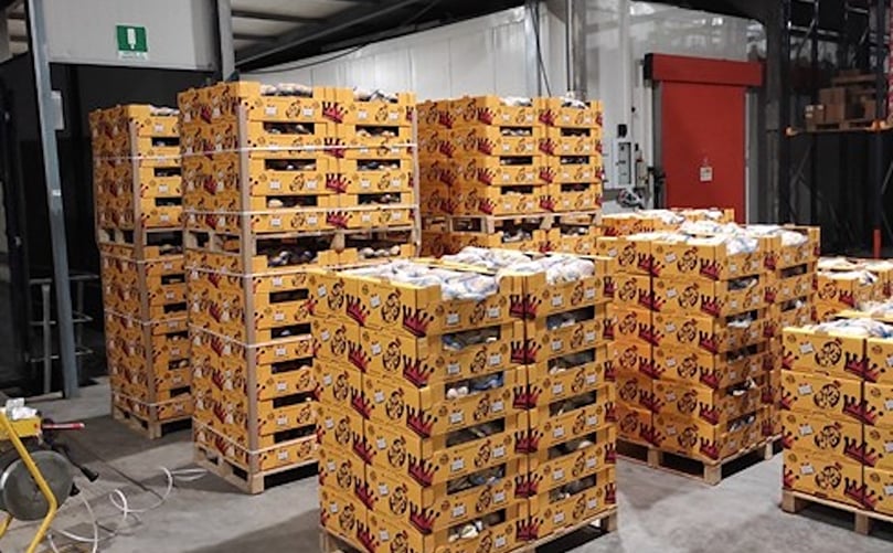 Palés de patatas listos para salir. Palés de patatas listos para salir