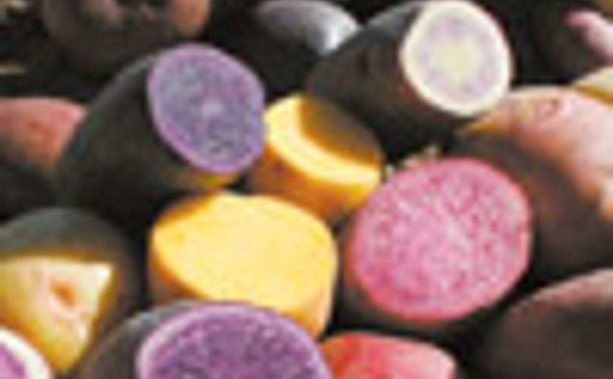 Colored potatoes (Source: California Farm Bureau Federation) Colored potatoes (Source: California Farm Bureau Federation)
