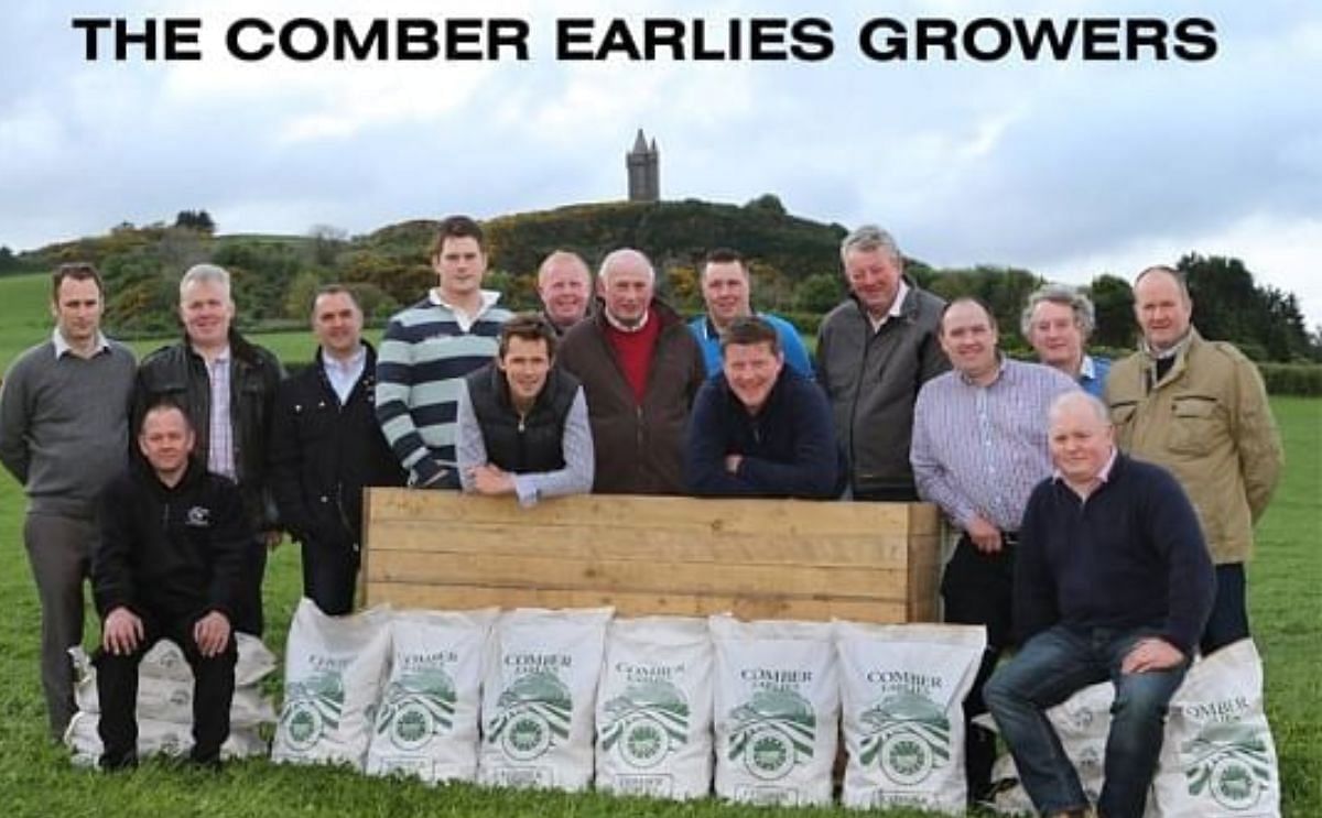 This year's Comber Earlies growers This year's Comber Earlies growers