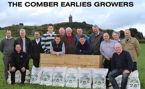 Sales of Comber potatoes double in Tesco outlets Sales of Comber potatoes double in Tesco outlets