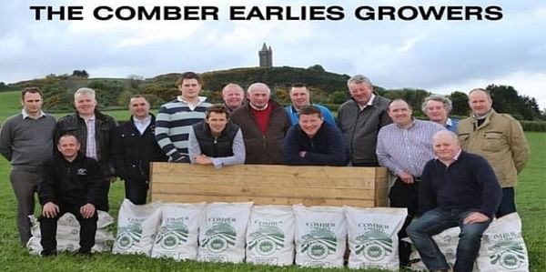 This year's Comber Earlies growers