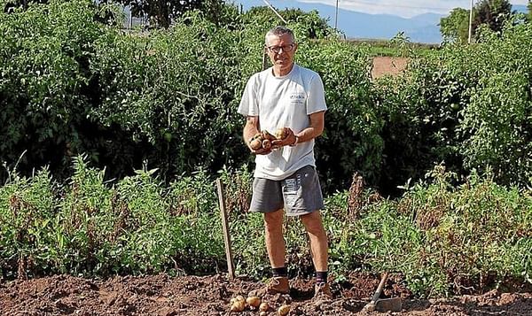 Comienza el arranque de la patata en 1.200 hectáreas en Álava, España.