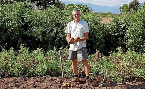 Comienza el arranque de la patata en 1.200 hectáreas en Álava, España. Comienza el arranque de la patata en 1.200 hectáreas en Álava, España.