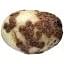 Common Scab