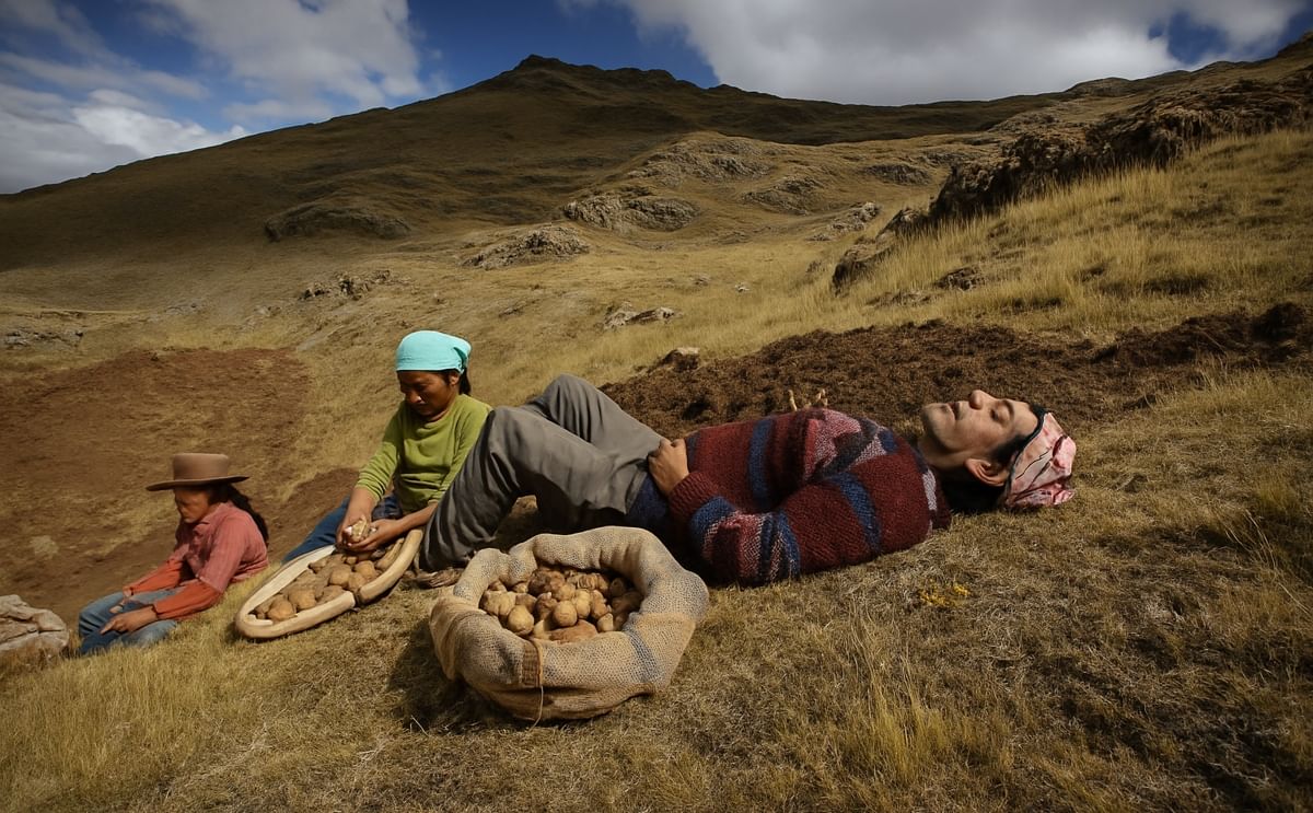 Cómo influyó el uso del celular en la comercialización de papa de tres comunidades bolivianas Cómo influyó el uso del celular en la comercialización de papa de tres comunidades bolivianas