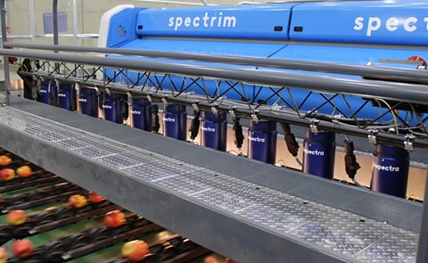 Compac is a New Zealand based manufacturer of Lane Sorting Machinery for the Fresh Fruit and Vegetable Industry. Shown is an application to sort apples with Compac's Inspectra System. This system uses near-infrared (NIR) for the non-invasive testing of th Compac is a New Zealand based manufacturer of Lane Sorting Machinery for the Fresh Fruit and Vegetable Industry. Shown is an application to sort apples with Compac's Inspectra System. This system uses near-infrared (NIR) for the non-invasive testing of th