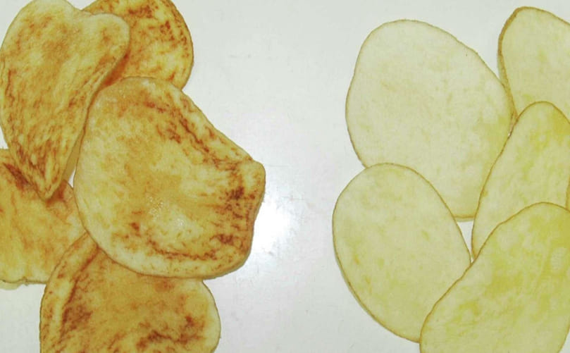 Zebra Chip Disease in Potato Tubers Before and After Frying Comparison Zebra Chip Disease in Potato Tubers Before and After Frying Comparison