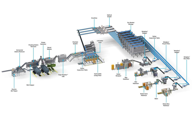 Full Potato Processing Plant: End-to-End Line Integration