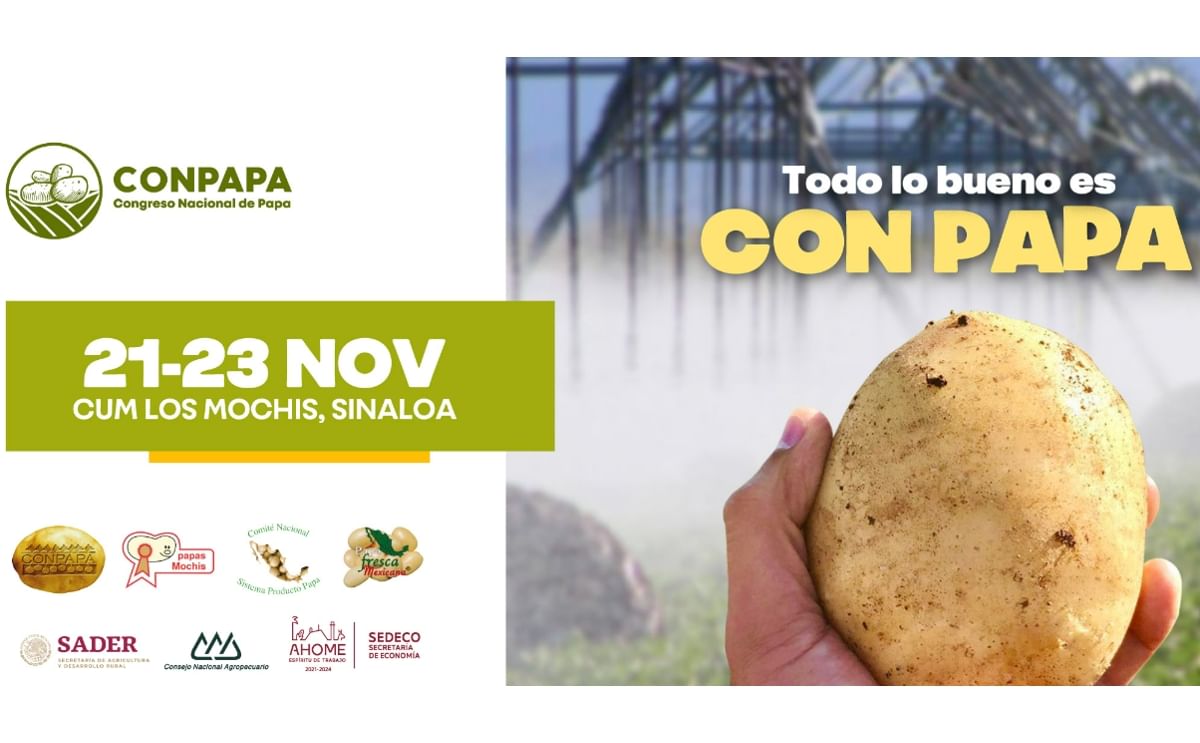 México: congreso nacional de la papa México: congreso nacional de la papa