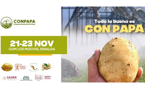 México: congreso nacional de la papa México: congreso nacional de la papa