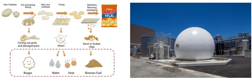 Left Image: Conceptual Chart of Energy System Utilizing Every Part of the Potato | Right Image: Methane Fermentation Tank, Desulfurization Equipment, and Gas Holder, etc. Left Image: Conceptual Chart of Energy System Utilizing Every Part of the Potato | Right Image: Methane Fermentation Tank, Desulfurization Equipment, and Gas Holder, etc.