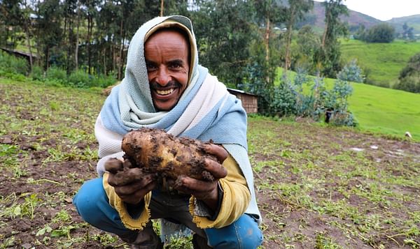 Potatoes prevent food crisis in Ethiopia and restore &#039;dignity and hope&#039;