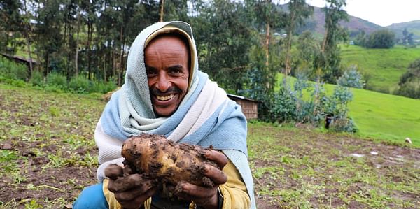 Potatoes prevent food crisis in Ethiopia and restore &#039;dignity and hope&#039;
