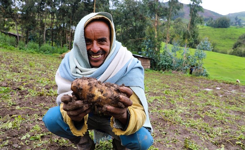 Potato farmer Ahimed Ali Mahamed - one of the farmers supported by charity organization Concern Worldwide - shows off his potato crop.