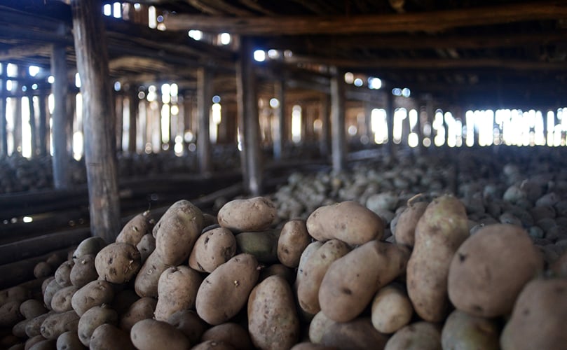 Local potato storage Local potato storage