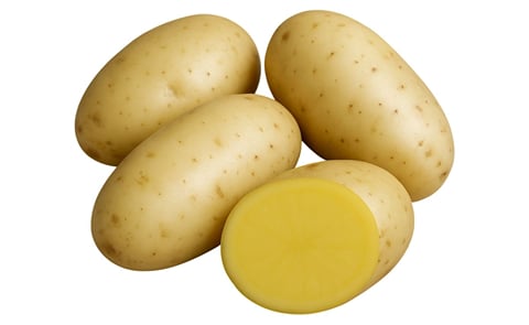 CONCHITA CONCHITA