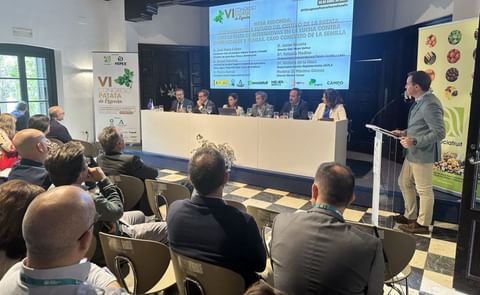 España: Congreso de la Patata Nueva, optimismo y preocupación España: Congreso de la Patata Nueva, optimismo y preocupación