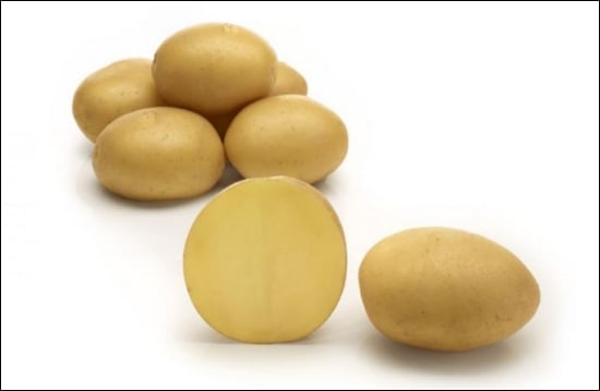 Connect is a medium late table potato, directly suitable for French fries fresh from the field Connect is a medium late table potato, directly suitable for French fries fresh from the field