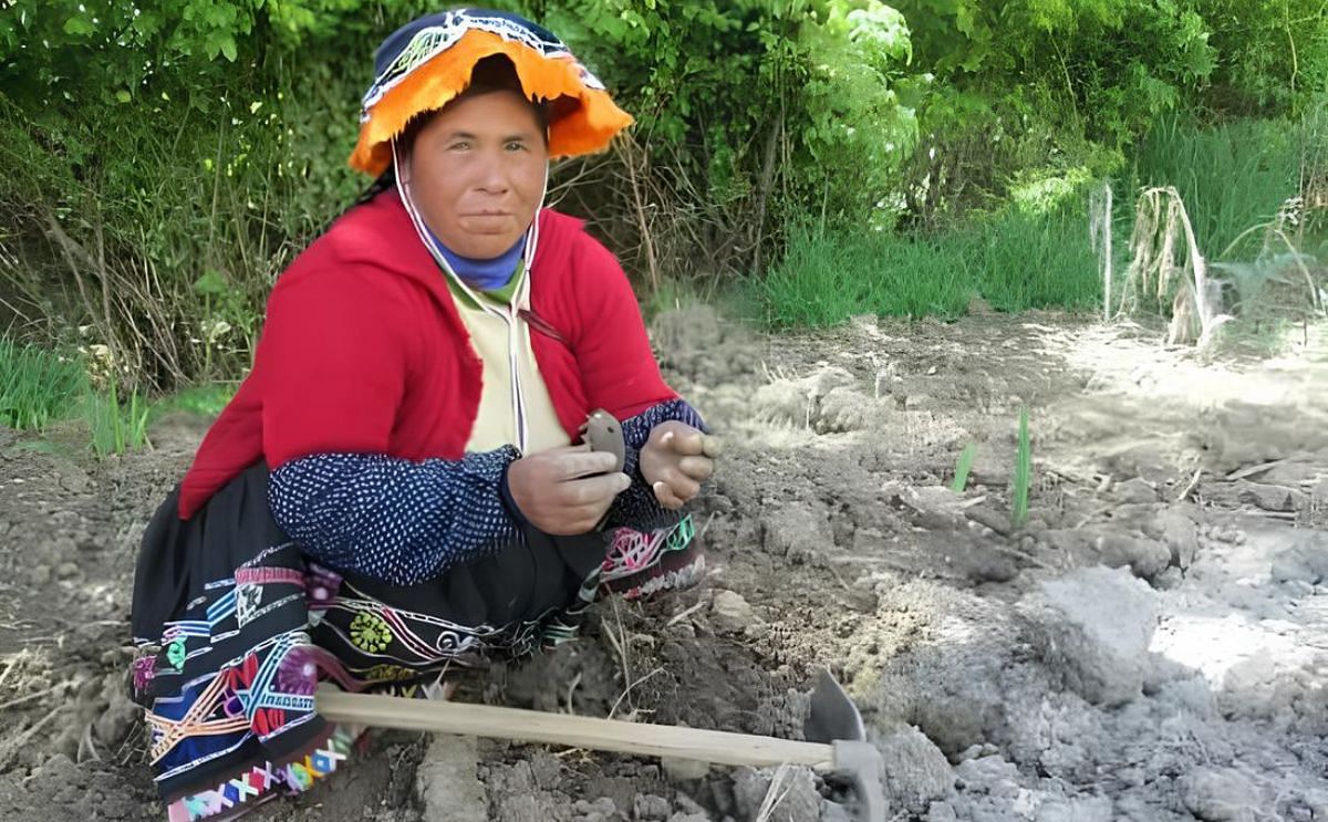 Comunidades andinas del Perú usan sus conocimientos para proteger variedades de papa