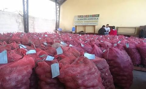 Ecuador: Asociación de productores abre planta de limpieza y clasificación de papa Ecuador: Asociación de productores abre planta de limpieza y clasificación de papa