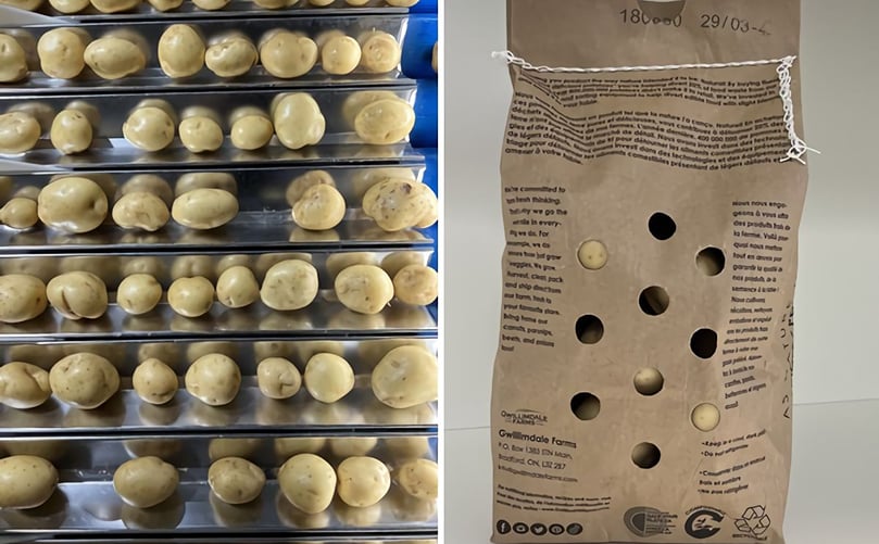 Conscious Consumption is a full line of retail packed #2 product at a discounted price. Conscious Consumption is a full line of retail packed #2 product at a discounted price.
