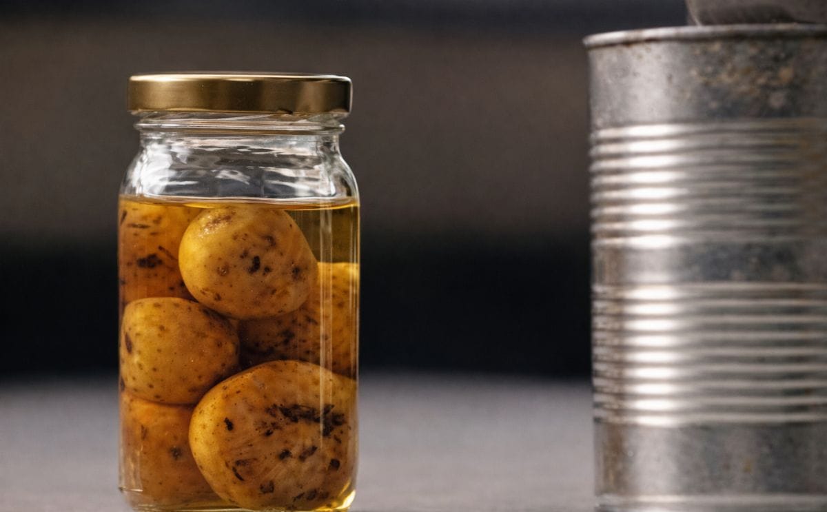 Variedades de papa criolla enriquecen industria alimentaria colombiana