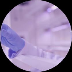 Contract Micropropagation