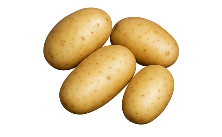 COOPERATION 88 (C88) COOPERATION 88 (C88)