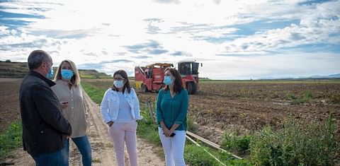La Rioja estudia ayudas al sector de la patata, entre ellas una línea para inversión en maquinaria agrícola