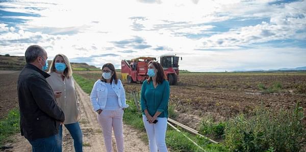 La Rioja estudia ayudas al sector de la patata, entre ellas una línea para inversión en maquinaria agrícola