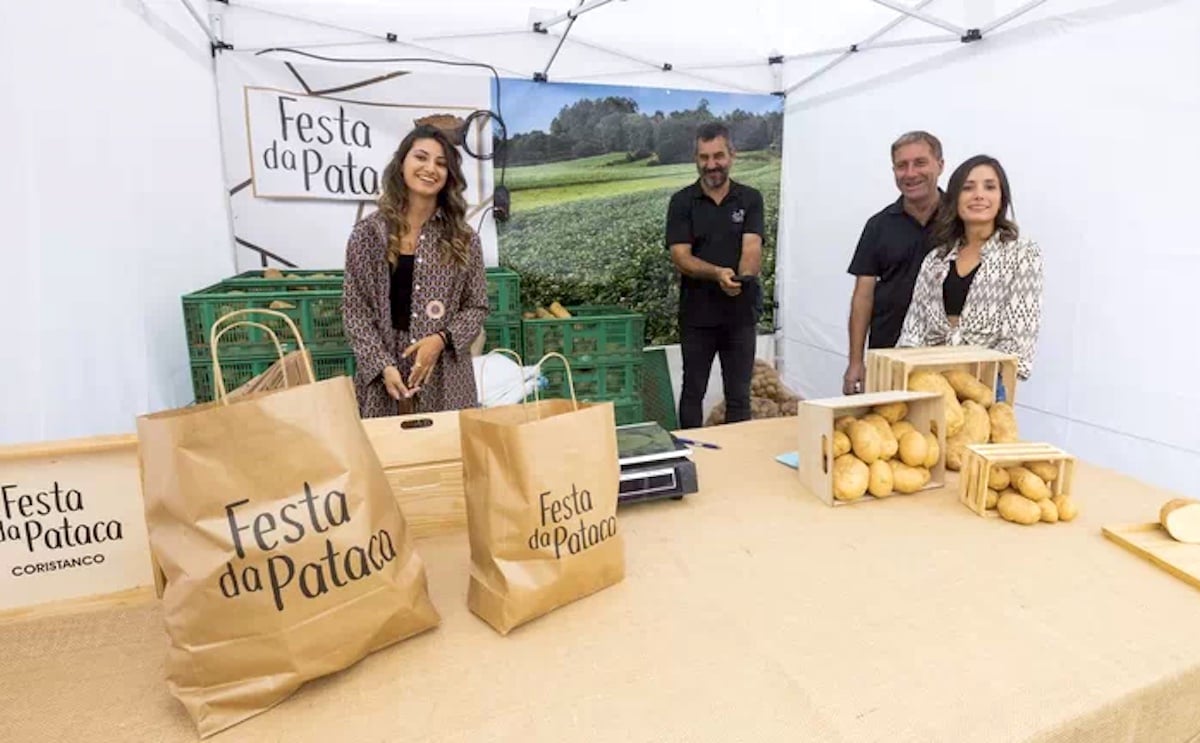 Coristanco saca músculo agrario y busca internacionalizar su patata. Coristanco saca músculo agrario y busca internacionalizar su patata.