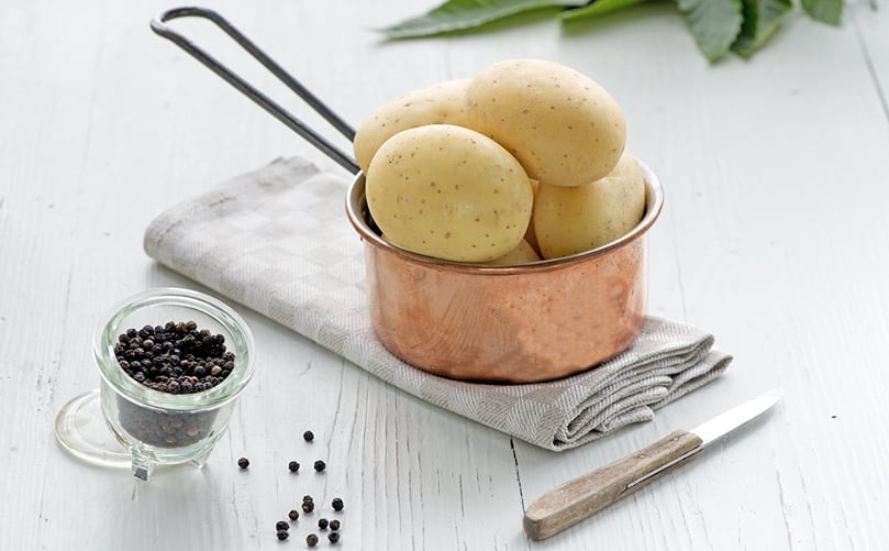 Worldwide distribution of premium-quality seed potatoes Worldwide distribution of premium-quality seed potatoes