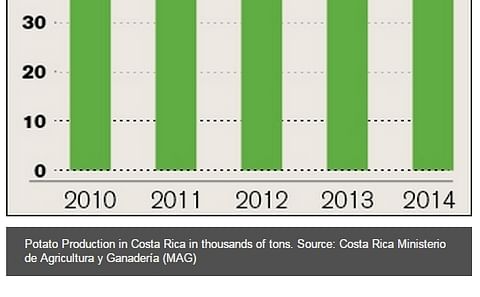 Costa Rica explores the local production of french fries Costa Rica explores the local production of french fries